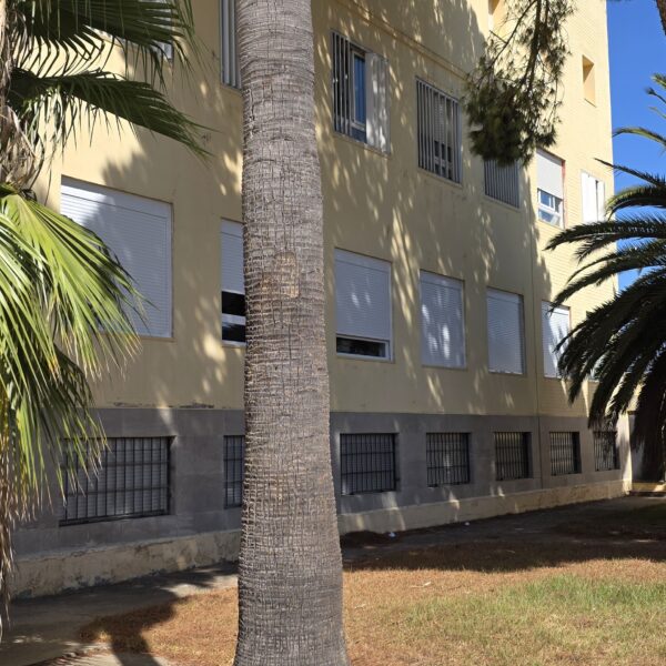 ¡Ventanas Nuevas para Nuestro Colegio! Mejora en Eficiencia y Confort Gracias a la Diputación de Cádiz